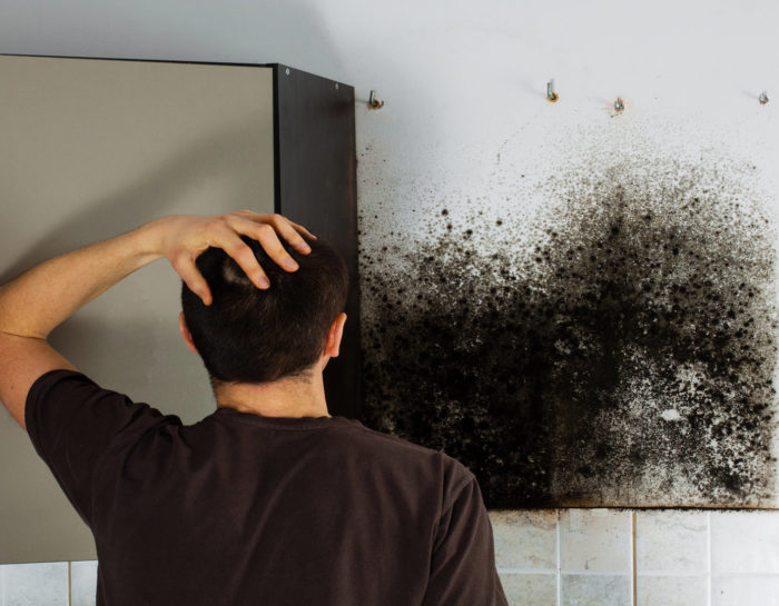 Votre maison est humide, quelles sont les solutions possibles ?