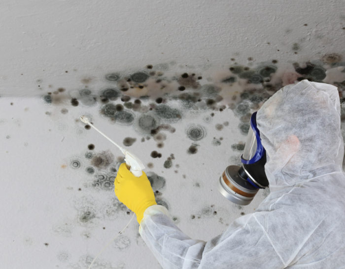 Mode de traitement de mur humide : injection de résine