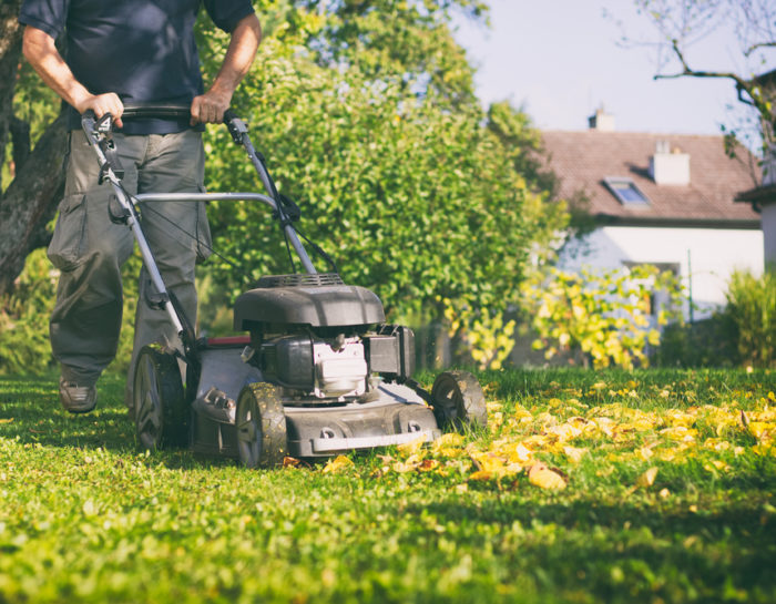 Prévoir la facilitation de l’entretien du jardin dès sa conception
